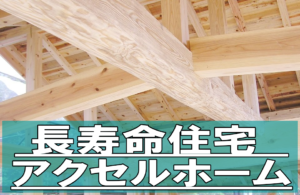 Thumbnail of post image 011