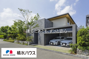 Thumbnail of post image 043