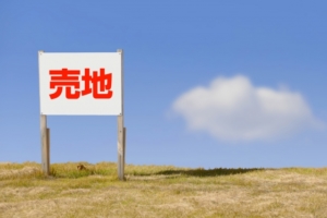 Thumbnail of post image 178